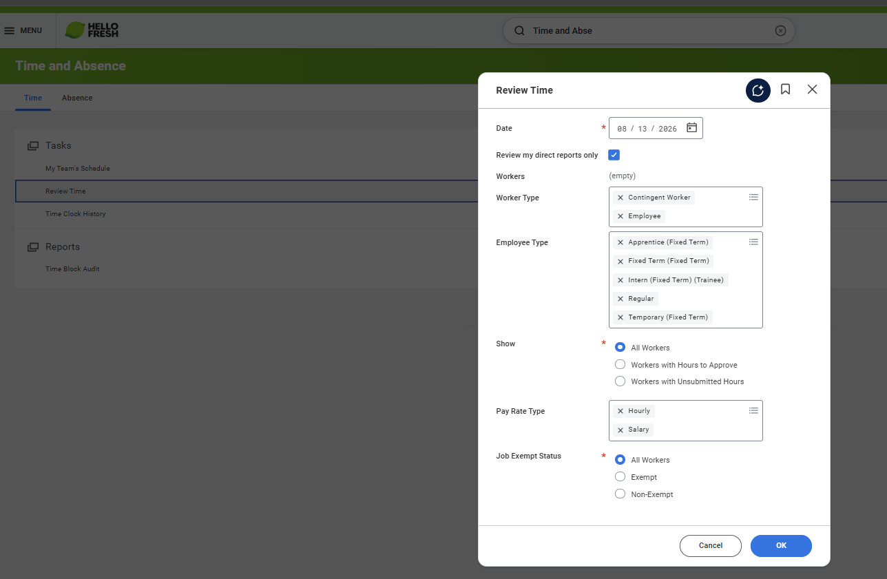 Workday Review Time dialog with date and filter fields, and the OK button at bottom right